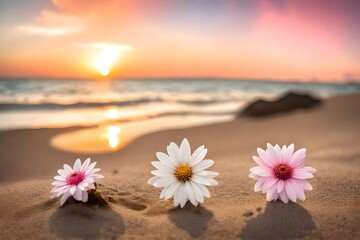 Fototapeta na wymiar flower on the beach