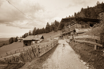 old hayloft in a pasture in Val Gardena