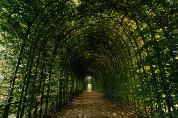 Covered Walkway, Alnwick Gardens, Northumberland - United Kingdom