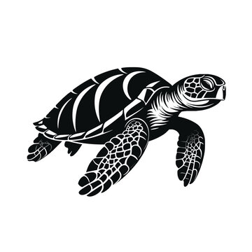 Schwarz-Weiß-Illustration einer Meeresschildkröte