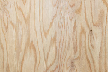 Background with wood texture. Natural wood pattern. Oak texture with knots