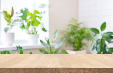 Empty wood table top on blur window sill with green house plants background