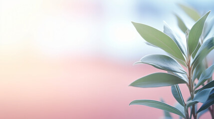 Fototapeta na wymiar Woodcut Sunlight Ruscus Flower Soft Focus.
