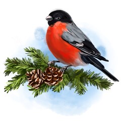 bird bullfinch on a branch, art illustration painted with watercolors isolated on white background, symbol of Christmas and new year, greeting card