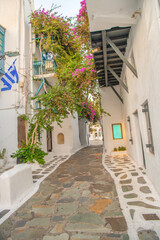 Fototapeta na wymiar Mykonos, Greece. Wiew of whitewashed cycladic street in beautiful Mykonos town, Cyclades Greek Islands.