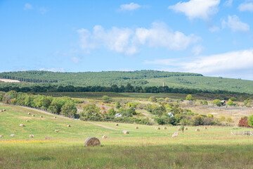 Sunny field straw bale.