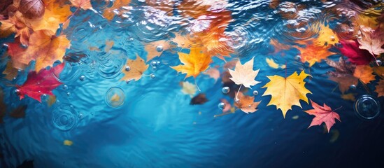 Fototapeta na wymiar Autumn leaves of vibrant hues gracefully gliding through the water
