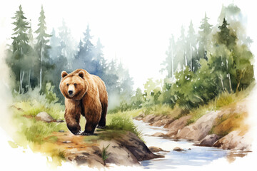Bear walks through the forest. Watercolor drawing