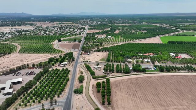 Pecan orchards in Las Cruces, New Mexico. High aerial truck shot.