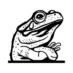 Peeking Frog - Funny Frog peeking out - face head isolated on white