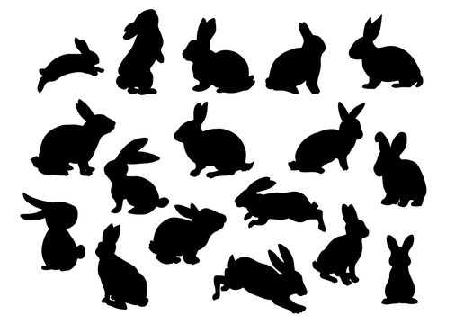 set of hand drawn rabbit silhouette