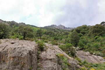 Fototapeta premium Mountain landscape In the south of Corsica on the way to Porto-Vecchio, France