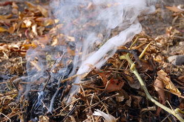 burning plant waste in the garden, garden maintenance and cleaning, burning waste grass,