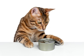 Bengal cat and cat food on a transparent background.