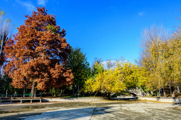 Landscape with the lake and vivid green, yellow, orange and brown leaves in large trees in a sunny...