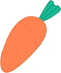 illustration of a carrot