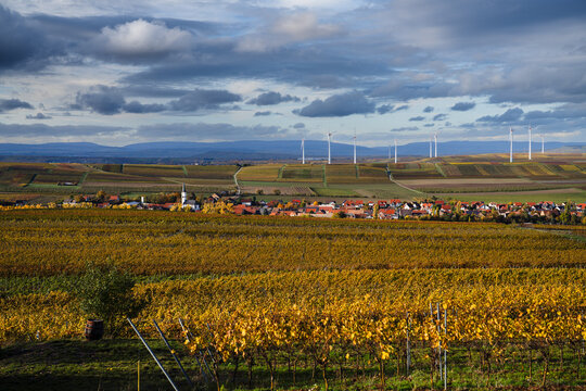 Flonheim, Rheinhessen Herbst 2023