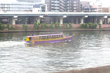 Obraz premium 隅田川の風景