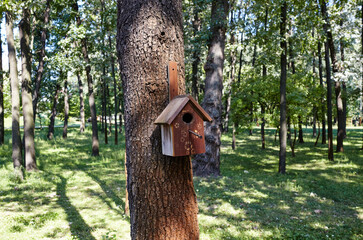 A wooden nesting box hanging on a tree. Feeder for birds in the city park