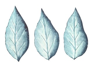 Collection with blue leaves, watercolor