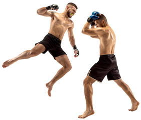 MMA. Two professional fighters punching, boxing isolated transparent background. Fit muscular...