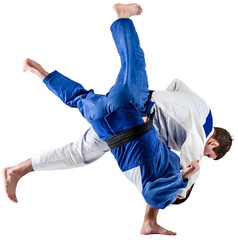Karate fight. Two karate fighters i white and blue kimono training isolated on transparent background. Concept of combat sport, challenges, skills. Sportsmen practicing base technique - obrazy, fototapety, plakaty