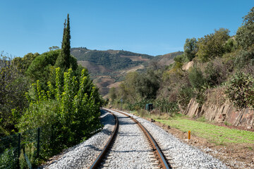 Entre montanhas, pinhal e muitas rochas, uma linha de comboio com uma curva à frente em Portugal