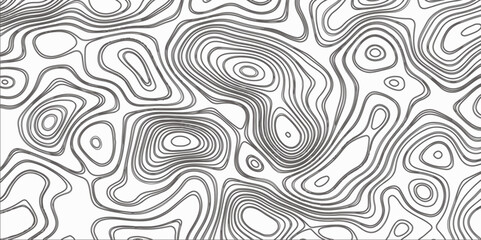 Topographic map in contour line light topographic topo contour map and ocean topographic line map with curvy wave isolines vector and Topographic map background concept.