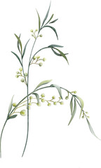 Watercolor Bouquets of Leaves Elements