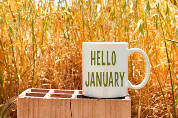 Hello January concept on White coffee mug mockup above brick near spike background
