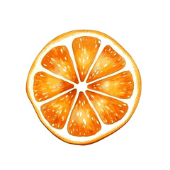 Watercolor orange slice fruit with leaves for food vitamin design on white background.