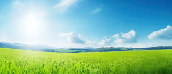 panoramic natural landscape of a green field with grass against a blue sky with sun. 