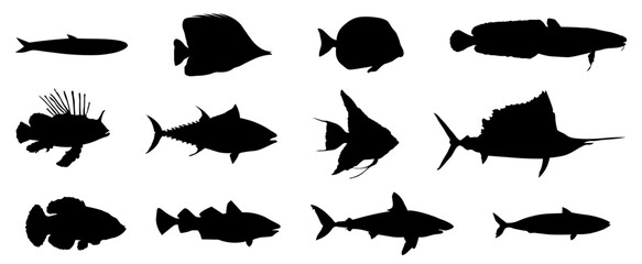 set of silhouettes of fishes