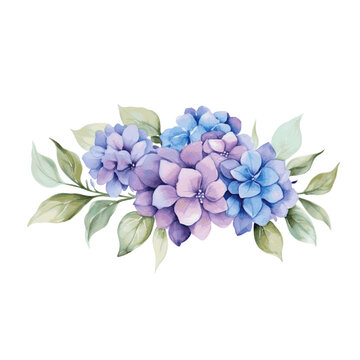 Beautiful bouquets with blue and purple hydrangea flowers watercolor paint on white background