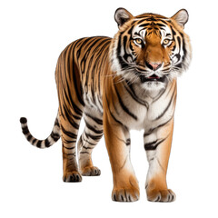 Tiger isolated on transparent background generative ai 