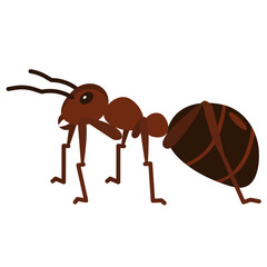 ant flat icon