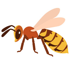 hornet flat icon