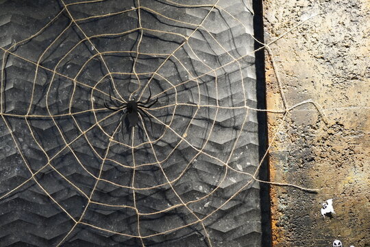 the background is a stone gray wall with a black spider web and a spider as a decoration for the Halloween holiday