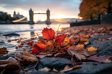 Tower Bridge with autumn leaves in London, England, UK - obrazy, fototapety, plakaty