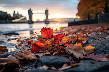 Gordijnen Tower Bridge with autumn leaves in London, England, UK © Tjeerd