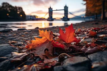 Papier Peint photo Tower Bridge Tower Bridge with autumn leaves in London, England, UK