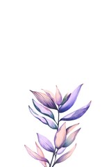 purple lotus flower Hand drawn illustration background.