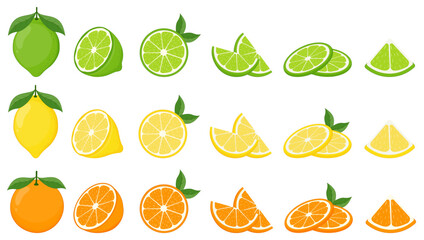Big vector set of citrus fruits.Orange,lemon and lime icons on white background.Vector illustration