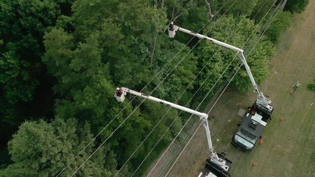 Safety tree trimming by work crew from company to keep tree limbs from encroaching on the electrical power lines. Aerial wide shot