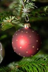 Ornaments on a christmas tree in Liechtenstein