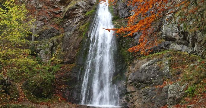 Autumn landscape with a massive waterfall in a colorful forest. The Sutovsky vodopad - waterfall in The Mala Fatra National Park, Slovakia, Europe. Slow motion 4k 100fps.