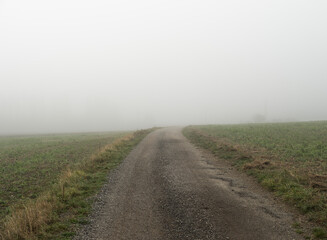 Fototapeta na wymiar road in the mist