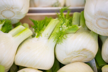 background of vegetables Fennel