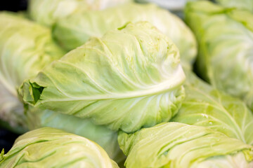 background of vegetables cabbage