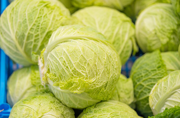 background of vegetables cabbage